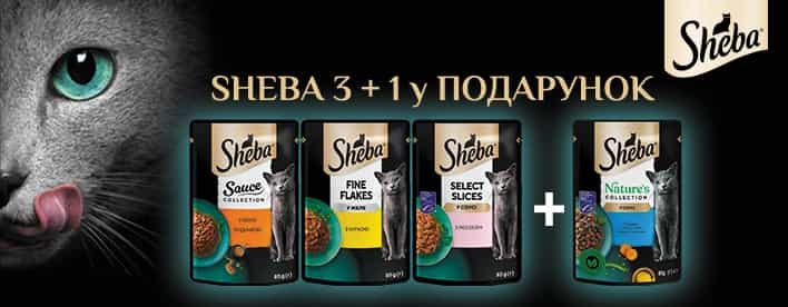 🐾 Коли котик заслуговує на краще — обирай Sheba!