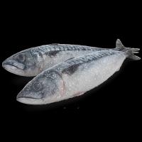 Рибна заморозка
